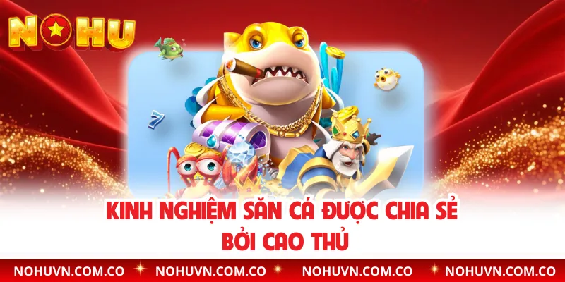 Kinh nghiệm săn cá được chia sẻ bởi cao thủ